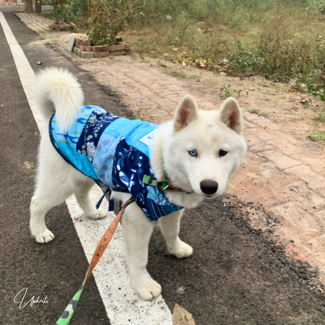 Blue Patchwork Pet Jacket