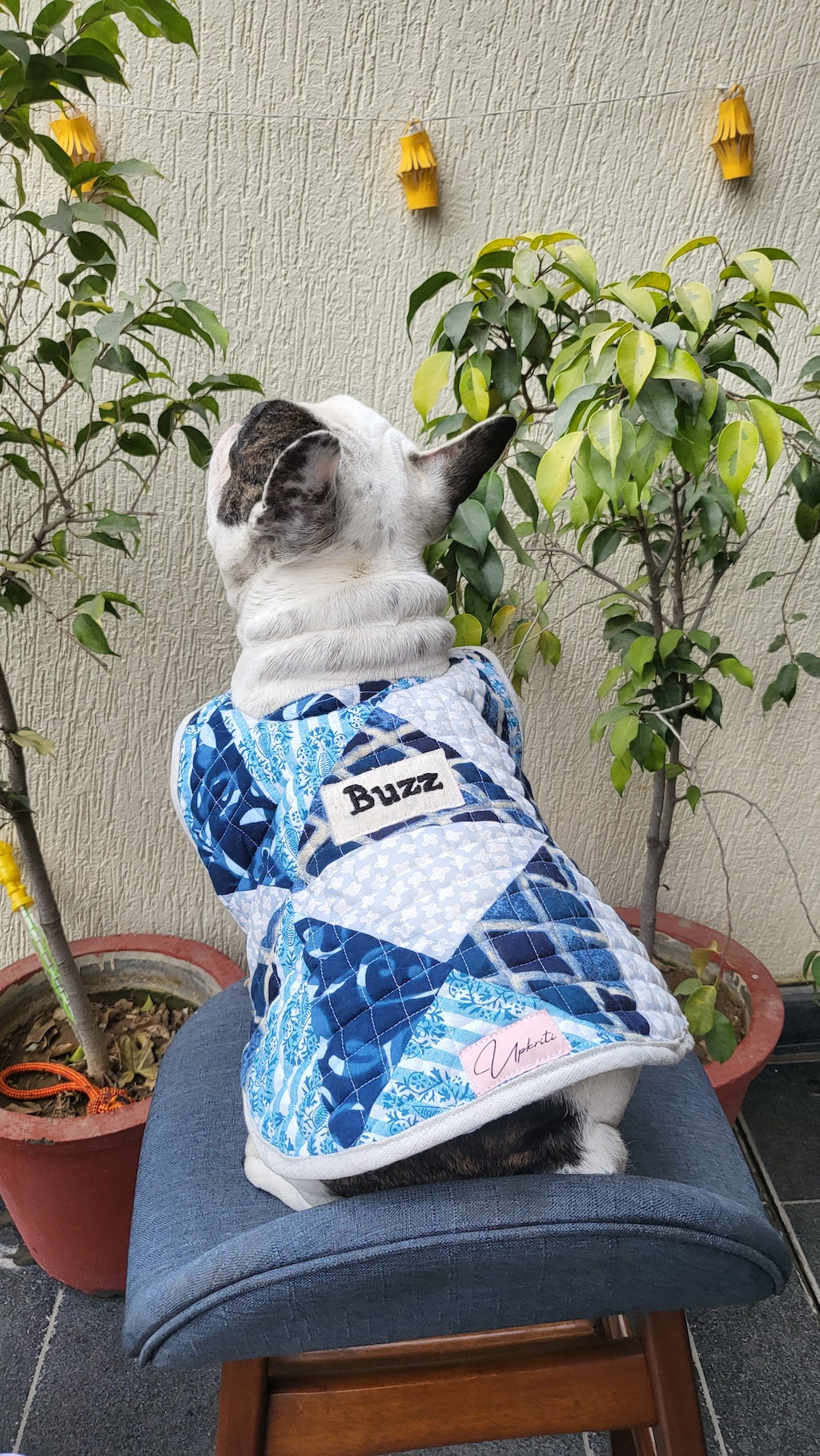 Blue Patchwork Pet Jacket