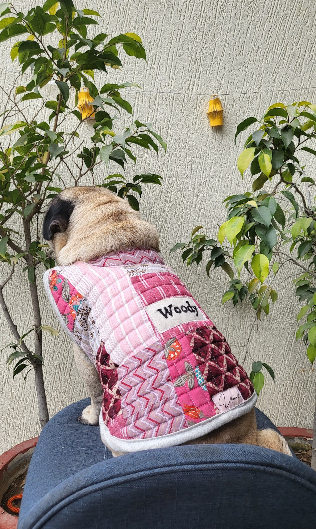 Pink patchwork Pet Jacket